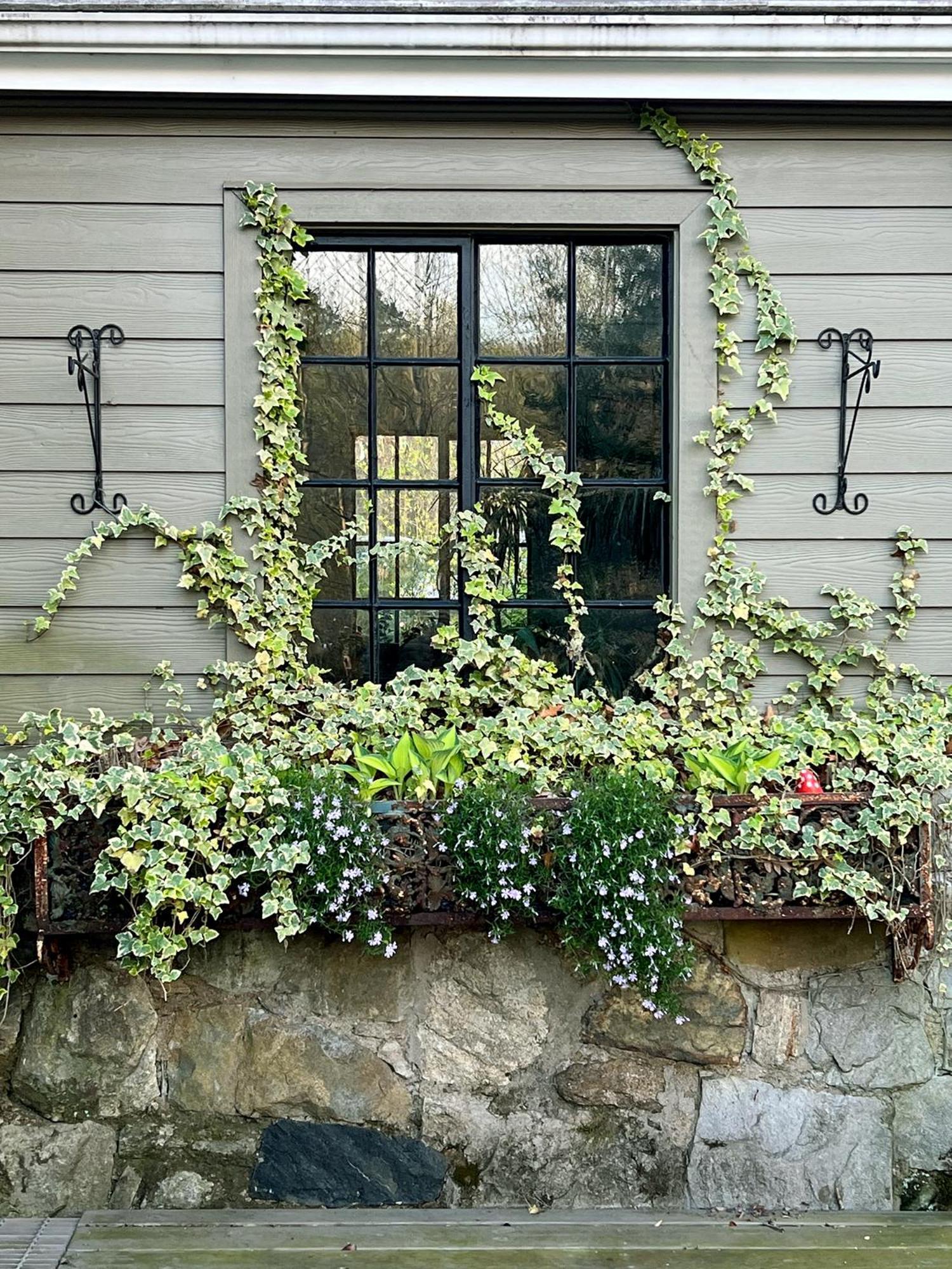 Studio Guest Suite In Forest Cottage Tryon Εξωτερικό φωτογραφία